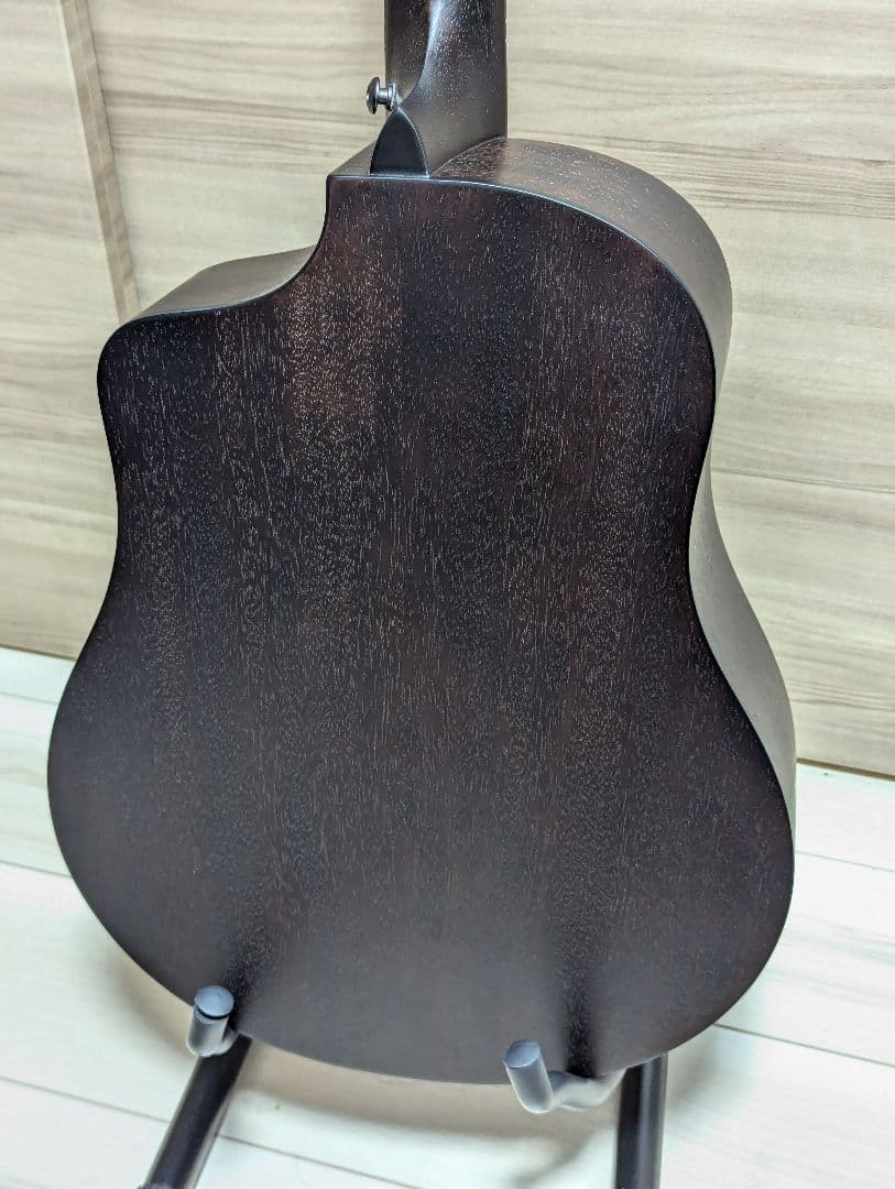 Donner Rising G-1 カーボントップ アコースティックギター