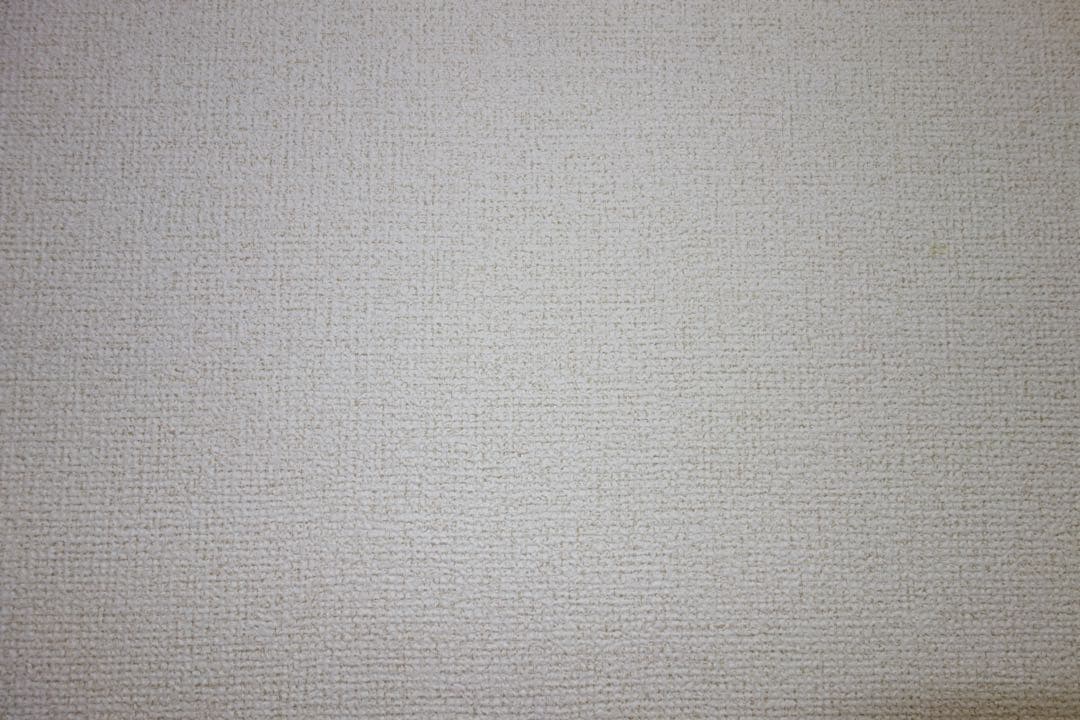 SONY RX100 初代、予備バッテリー、Zeiss製ケース付き