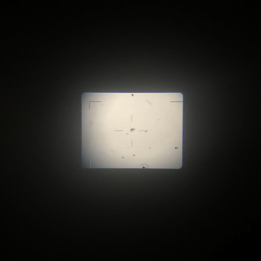 Leica D-LUX 初代 コンパクトデジタルカメラ