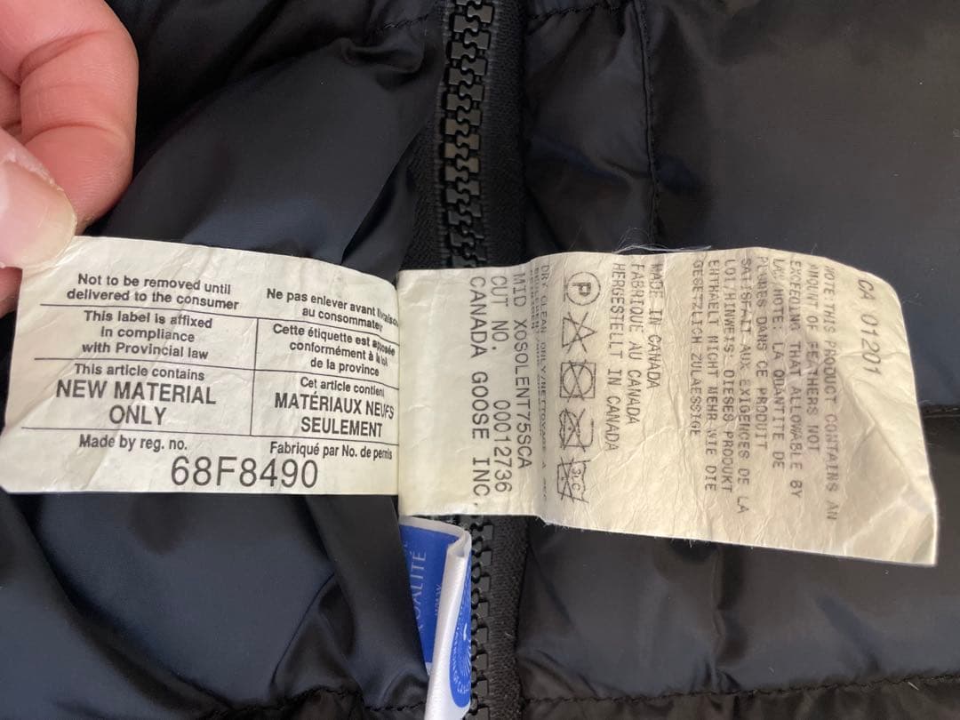 カナダグース　カムループス