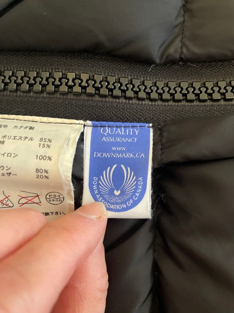 カナダグース　カムループス