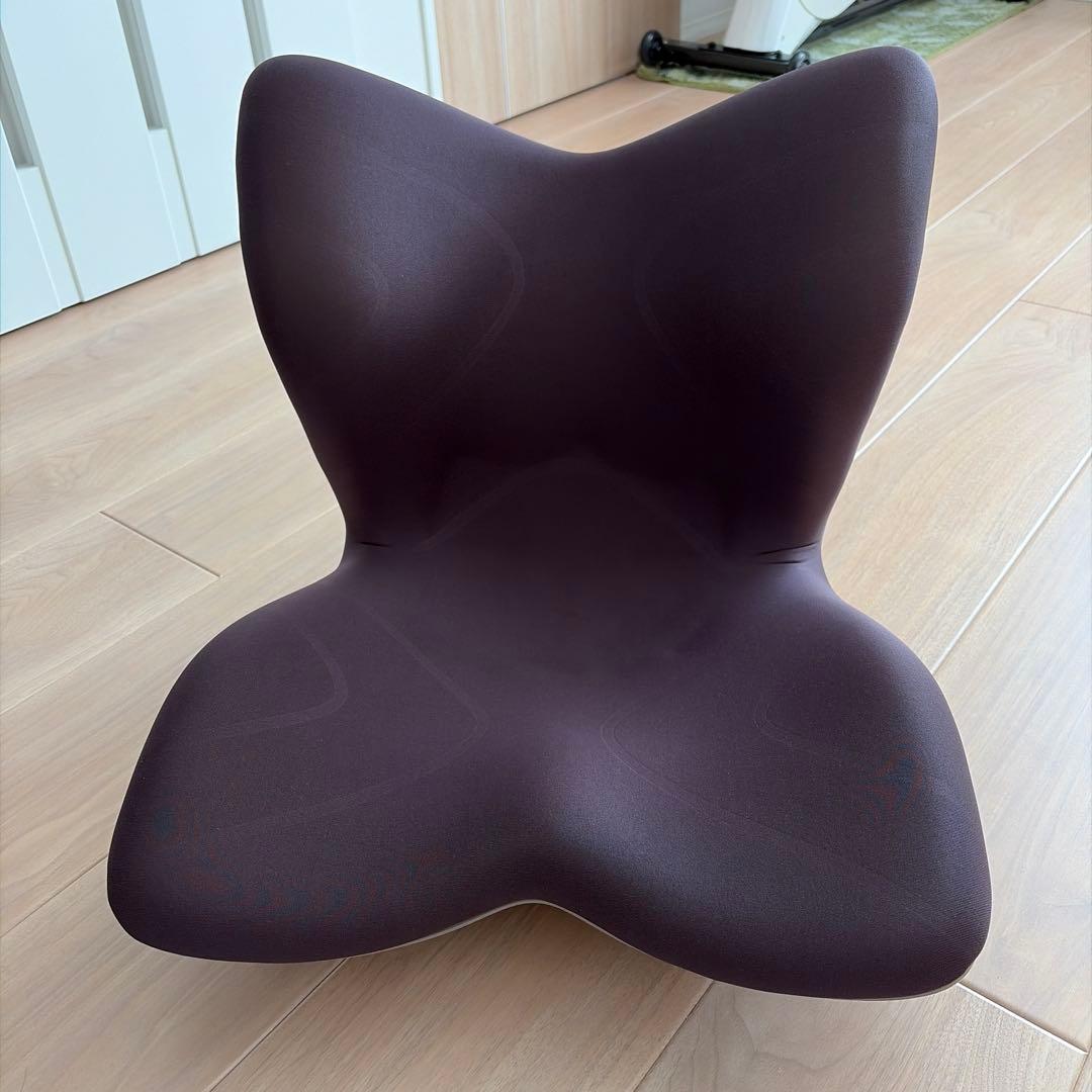 Style premium スタイルプレミアム　ブラウン 美品 人間工学チェア