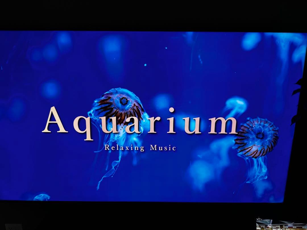 ソニー　XRJ-75X95J　4K液晶テレビ　BRAVIA　XR　75V型