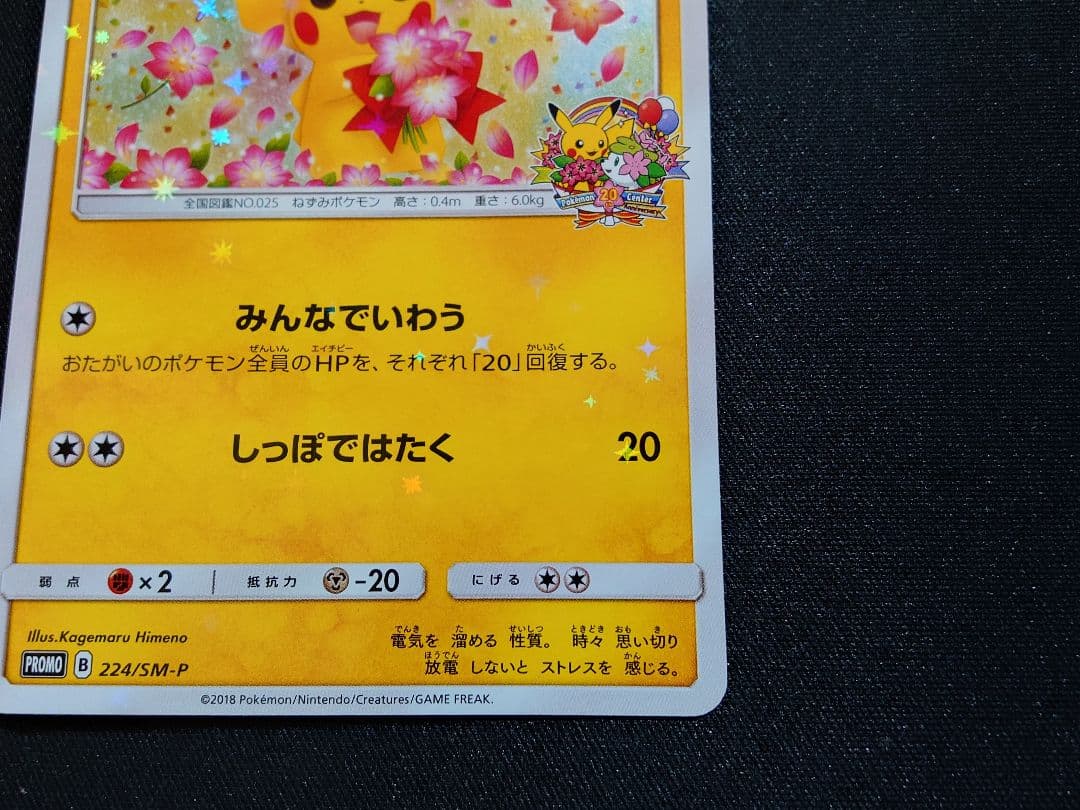 みんなでいわうピカチュウ　20th