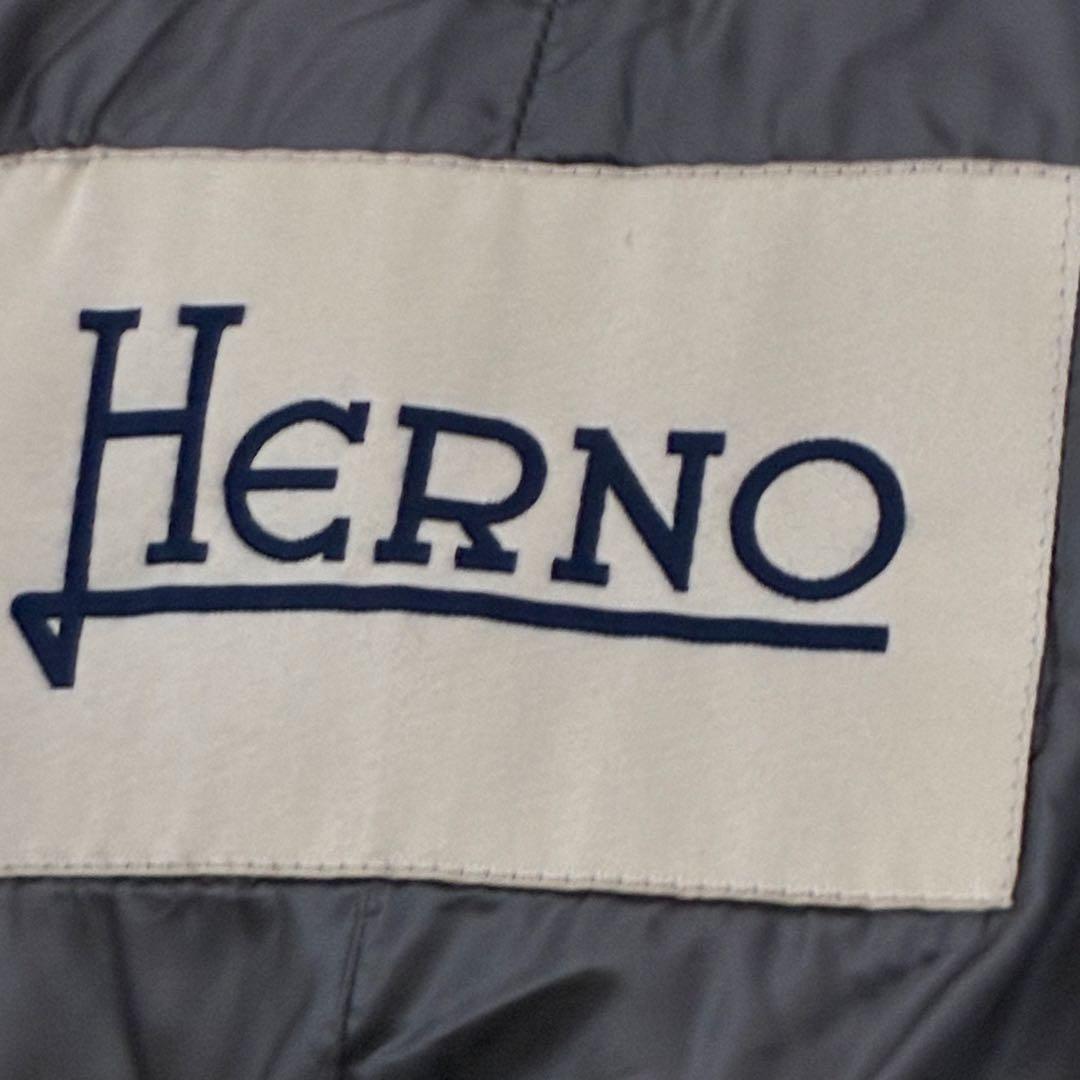 【美品】HERNO　ヘルノ　カシミヤ　シルク　ファー　ダウン　ロング　44