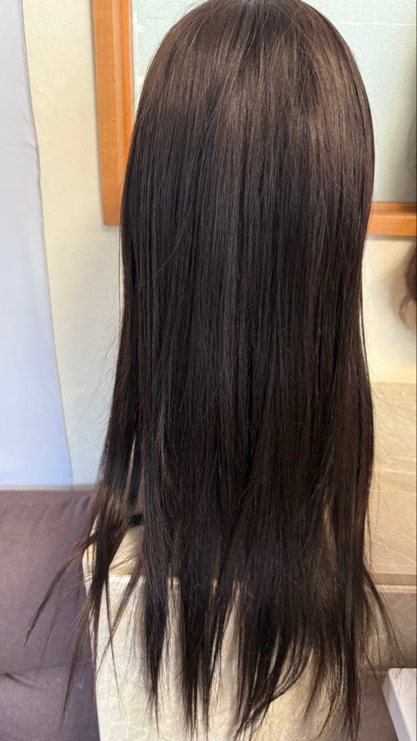 高品質　ロングストレートウィッグ 人毛　総手植えレース　医療用　定価79800円