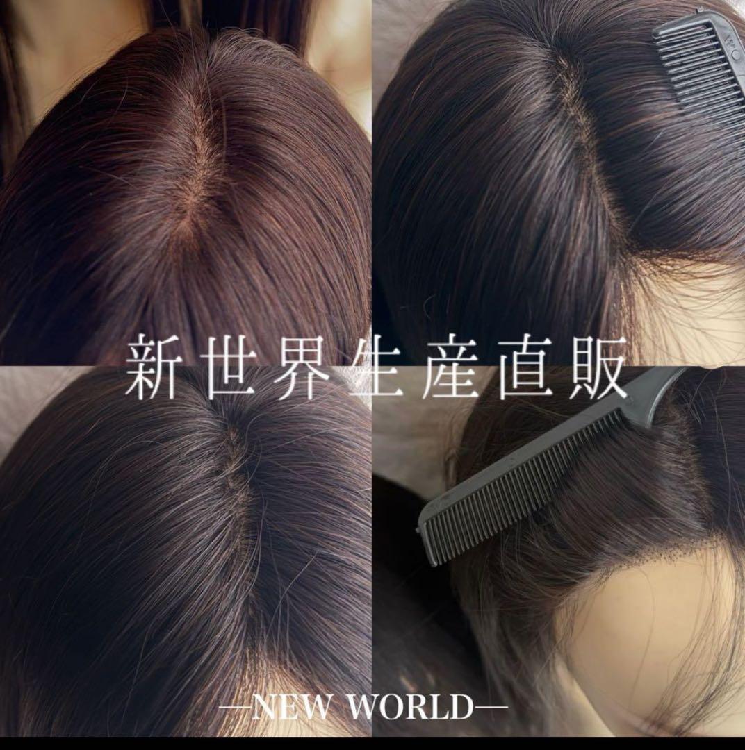 高品質　ロングストレートウィッグ 人毛　総手植えレース　医療用　定価79800円