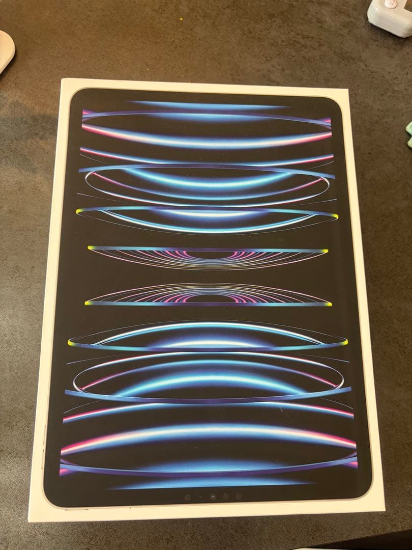 iPadPro 256ギガ 第四世代 シルバー