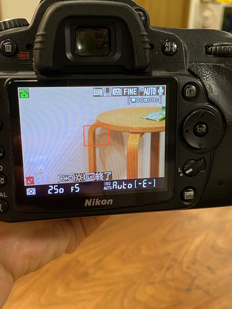 Nikon D90 デジタル一眼Tamron 100-300レンズ付　動作品