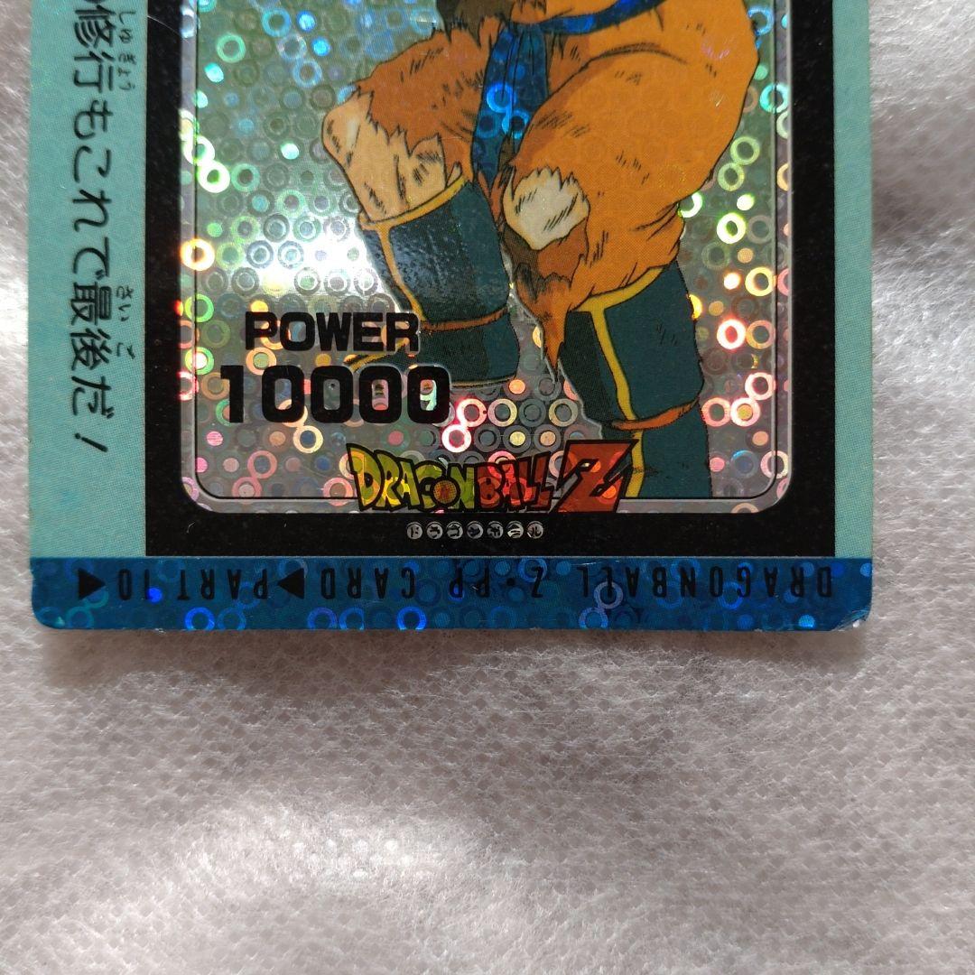 【貴重:泡プリズム】ドラゴンボール Z　カードダス　 PPカード 379