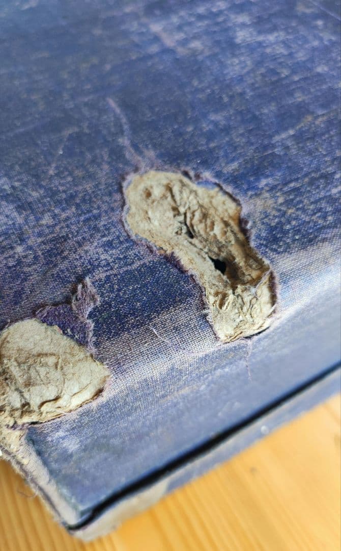 まみちゃん専用　LOUIS JANSSOONEアンティーク　トランク