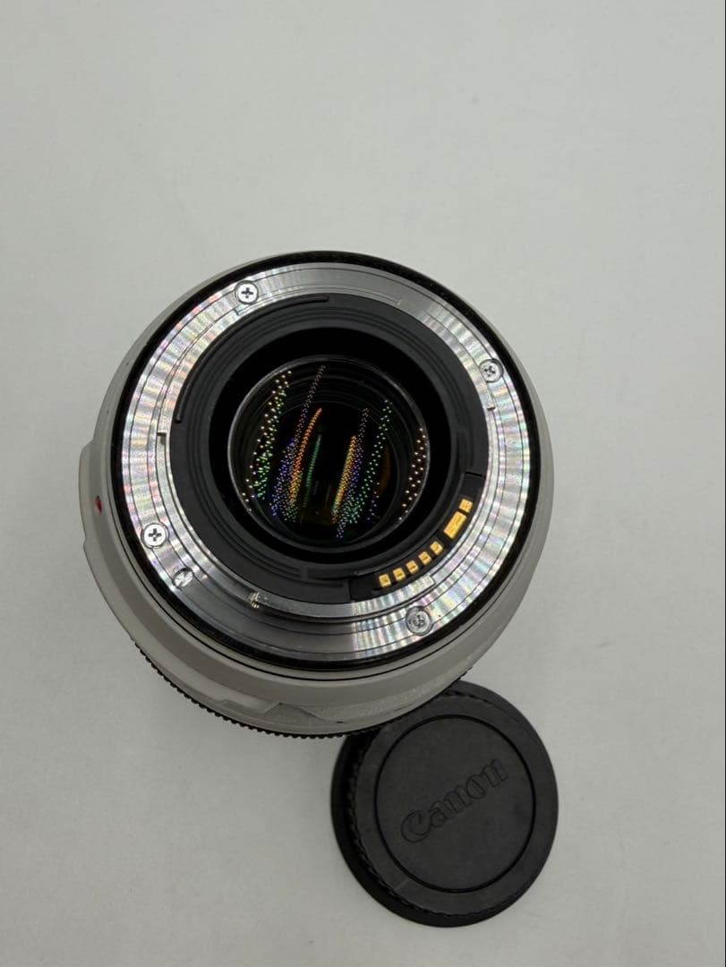 キャノン Canon EF 70-300mm F4-5.6 L IS USM