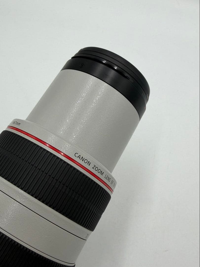 キャノン Canon EF 70-300mm F4-5.6 L IS USM