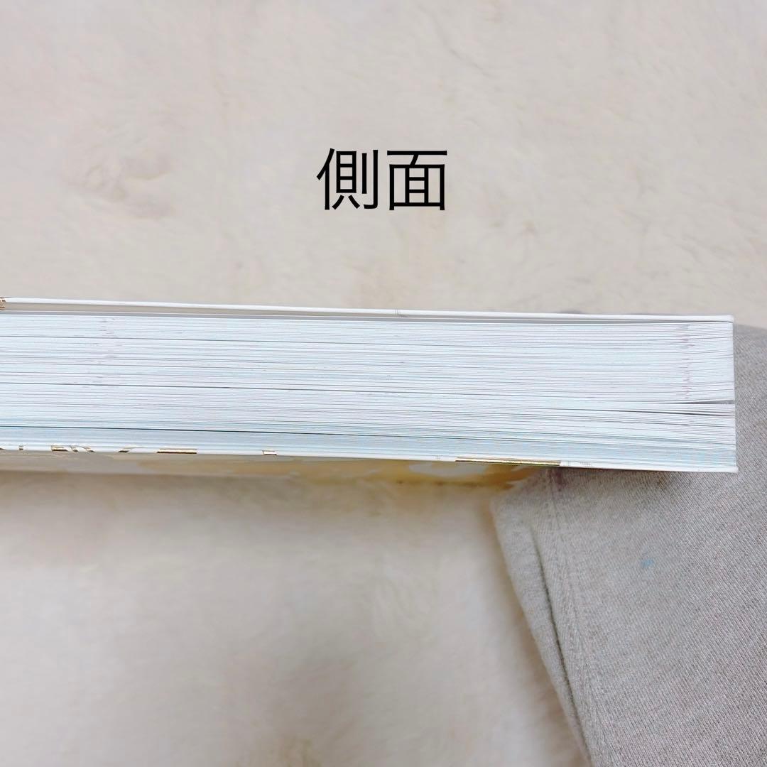 【説明文必読】ユーリ!!! on ICE 原画集 ガイドブック 3冊セット