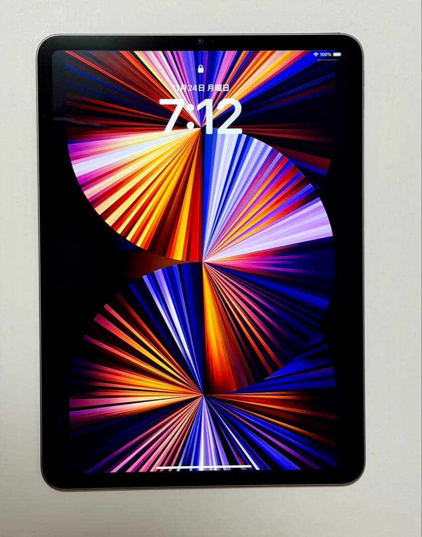 【美品】iPad Pro（第3世代） 11インチ Wi-Fi M1 256GB