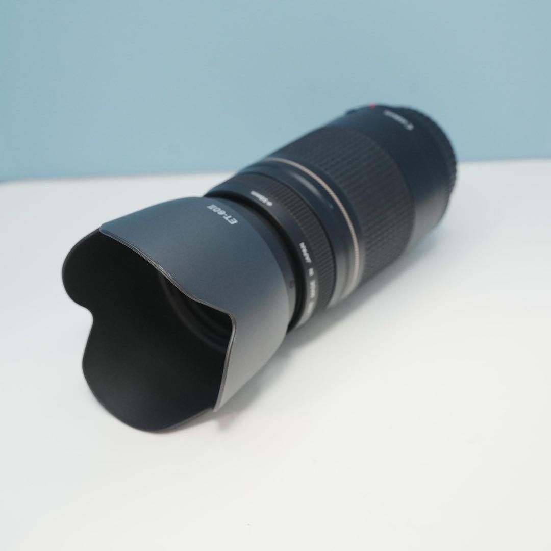 Canon純正 75-300mm 望遠レンズ 極美品 a4963