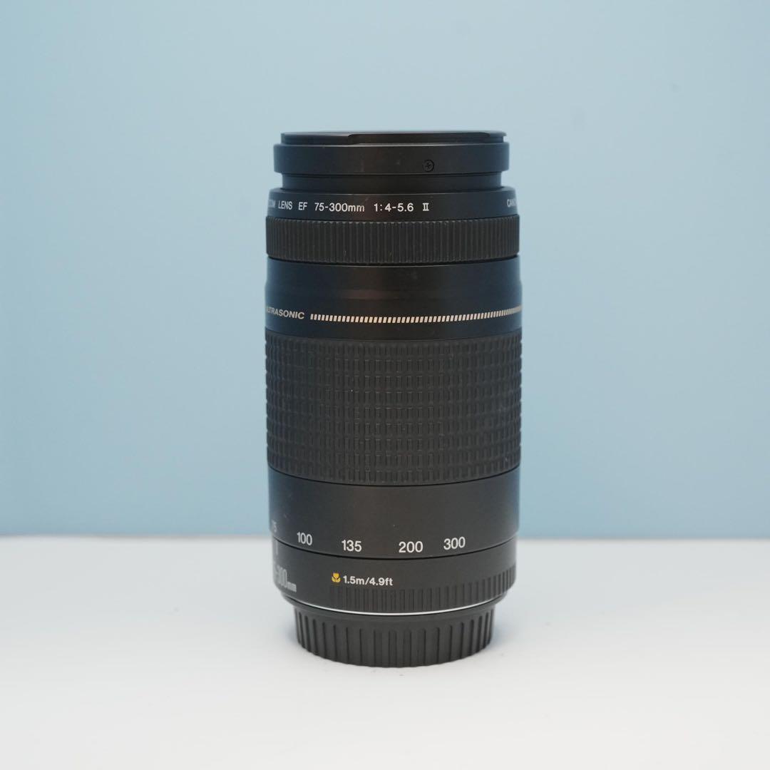 Canon純正 75-300mm 望遠レンズ 極美品 a4963