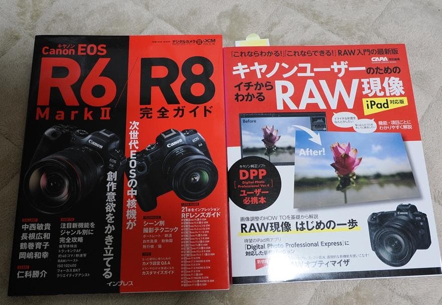 【美品】Canon EOS R8