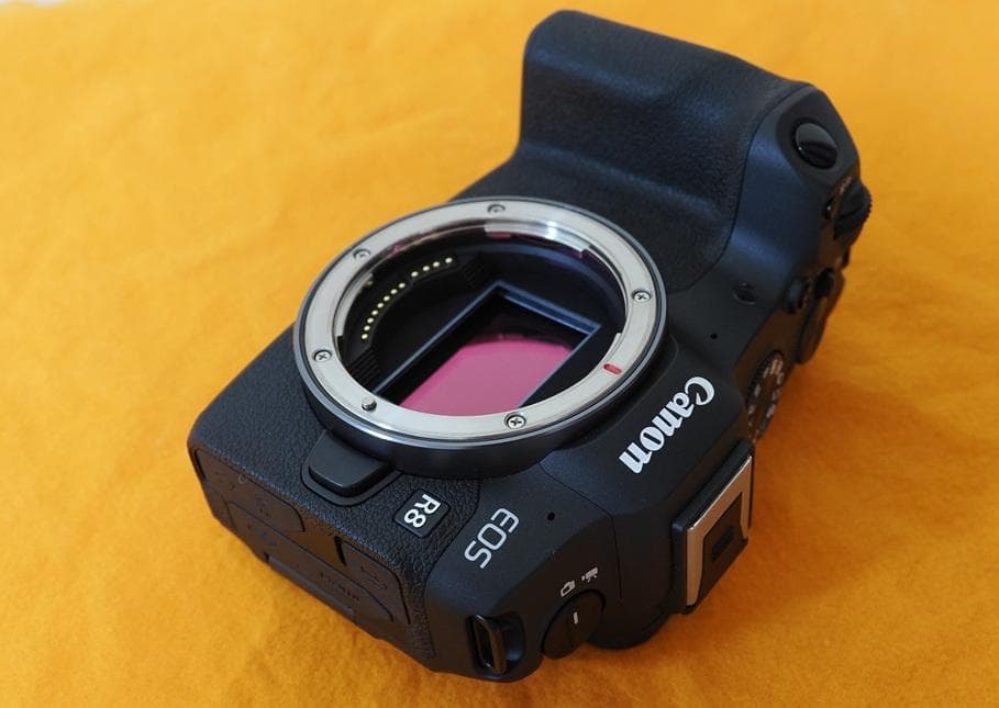 【美品】Canon EOS R8