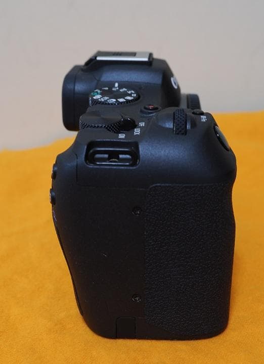 【美品】Canon EOS R8