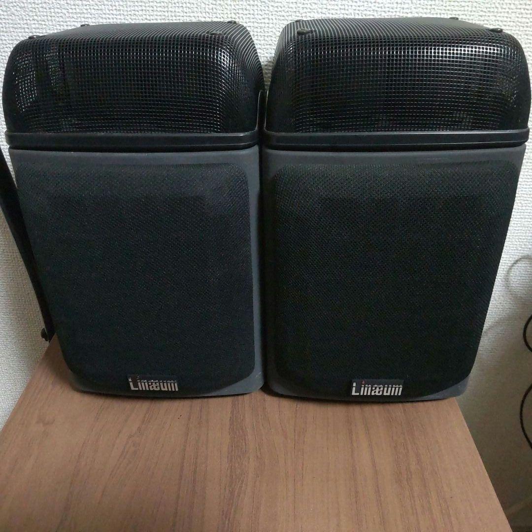 Linaeum　A-1　改造2-1