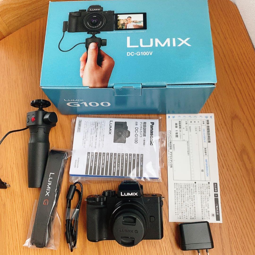 TAKEYAMA　LUMIX DC-G100V