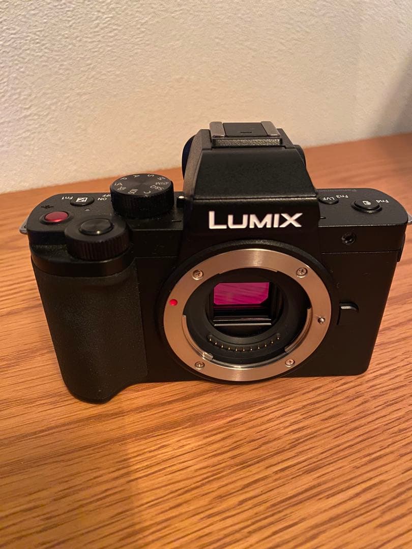 TAKEYAMA　LUMIX DC-G100V