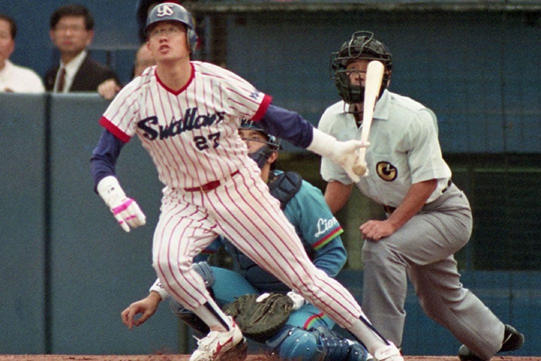 古田敦也　NPBバット　東京ヤクルトスワローズ