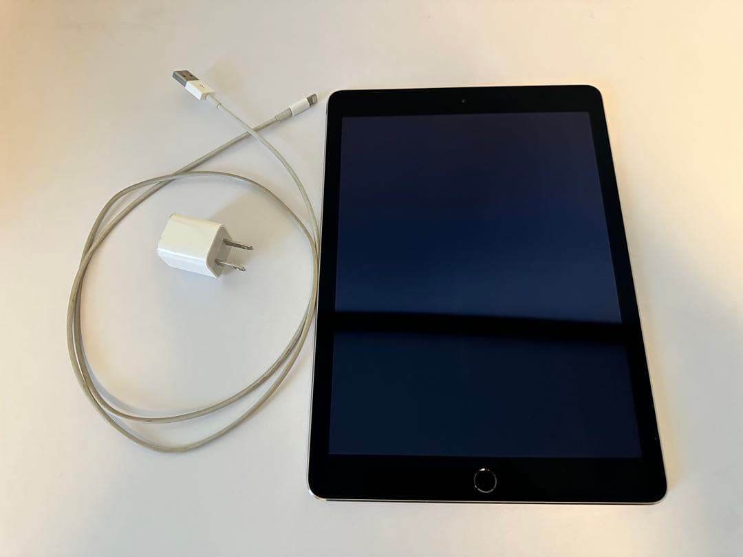 Apple iPad Air2 シルバー 本体　充電ケーブル付き