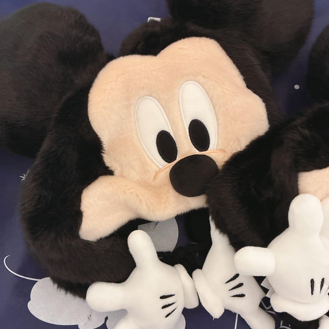 ディズニー　ファンキャップ　ミッキー ミニー　セット