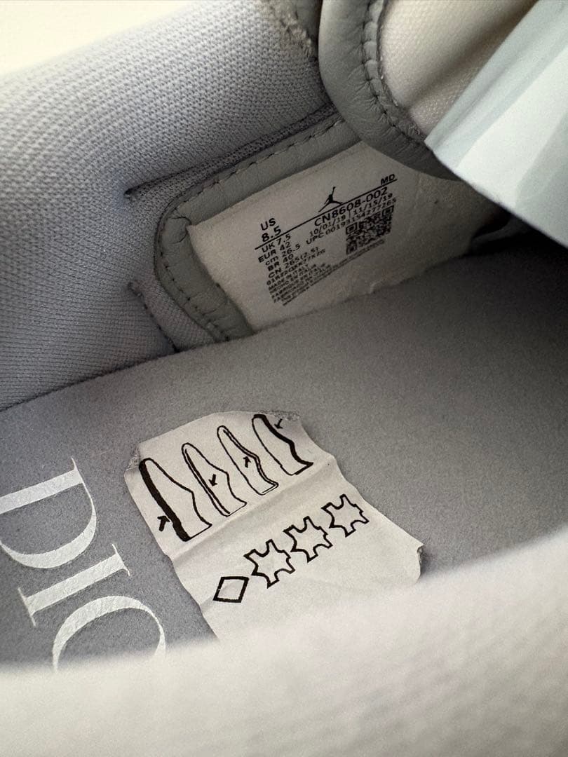 Dior × Nike Air Jordan 1 Low OG