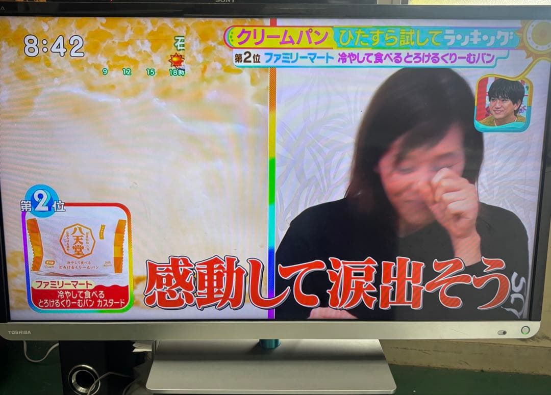 TOSHIBA REGZA 液晶テレビ 32G9