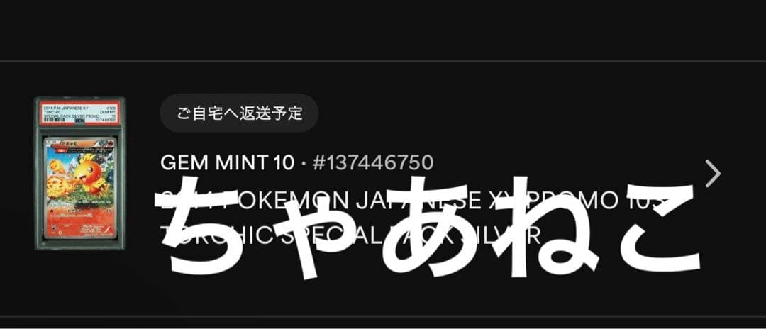 PSA10＊2014 アチャモ PROMO 世界83枚 希少 Torchic