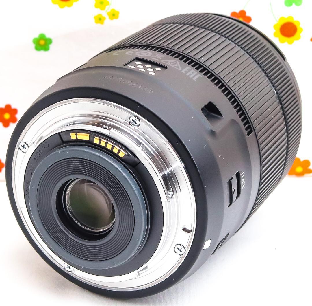 超美品 Canon EF-S 18-135mm USM☆高性能・高倍率レンズ