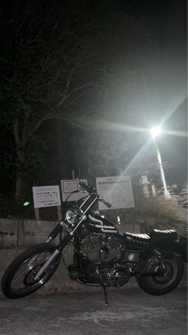 【最終値下げ】スポーツスター　キングアンドクイーン　TRAMPCYCLE極美品