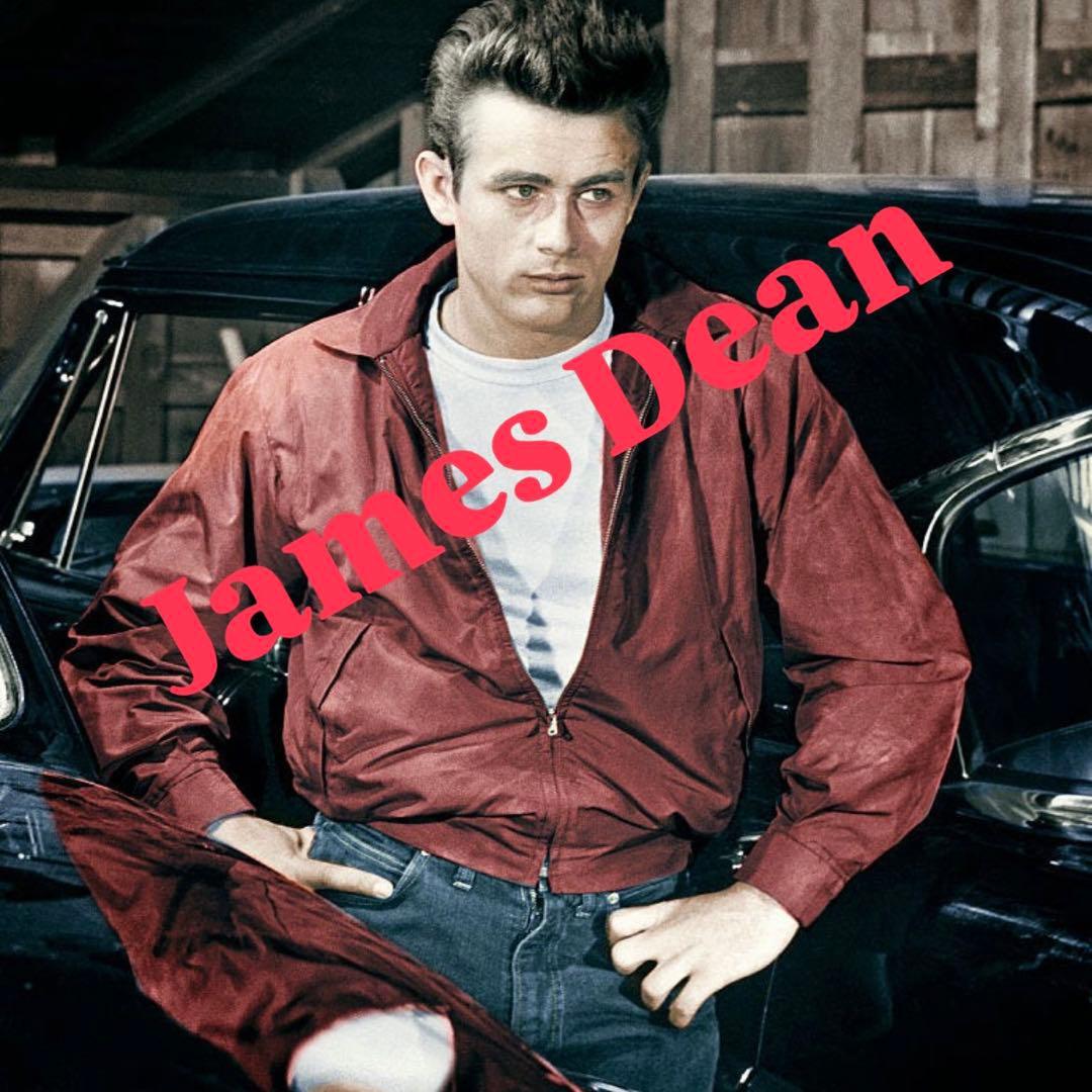 美品・希少色80s Polo by Ralph Lauren スウィングトップ