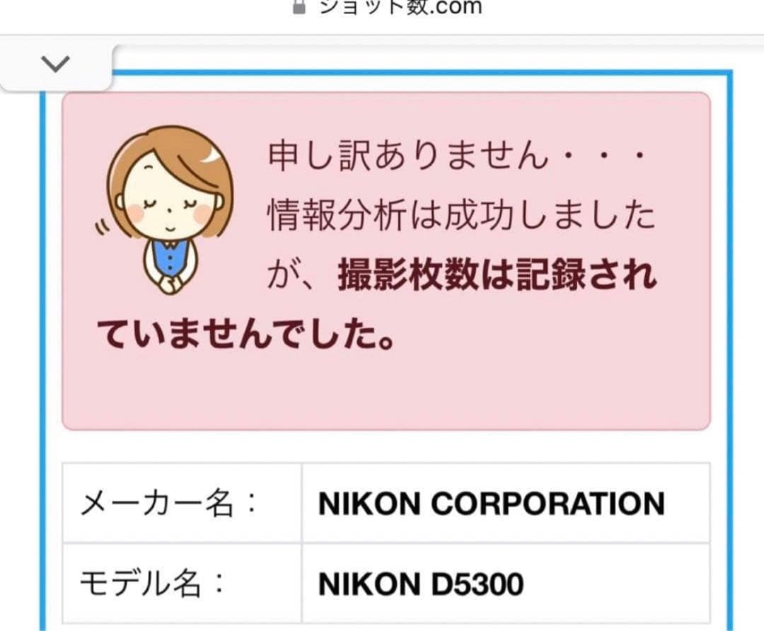 Nikon D5300 デジタル一眼レフカメラ レンズ2本セット 望遠レンズ