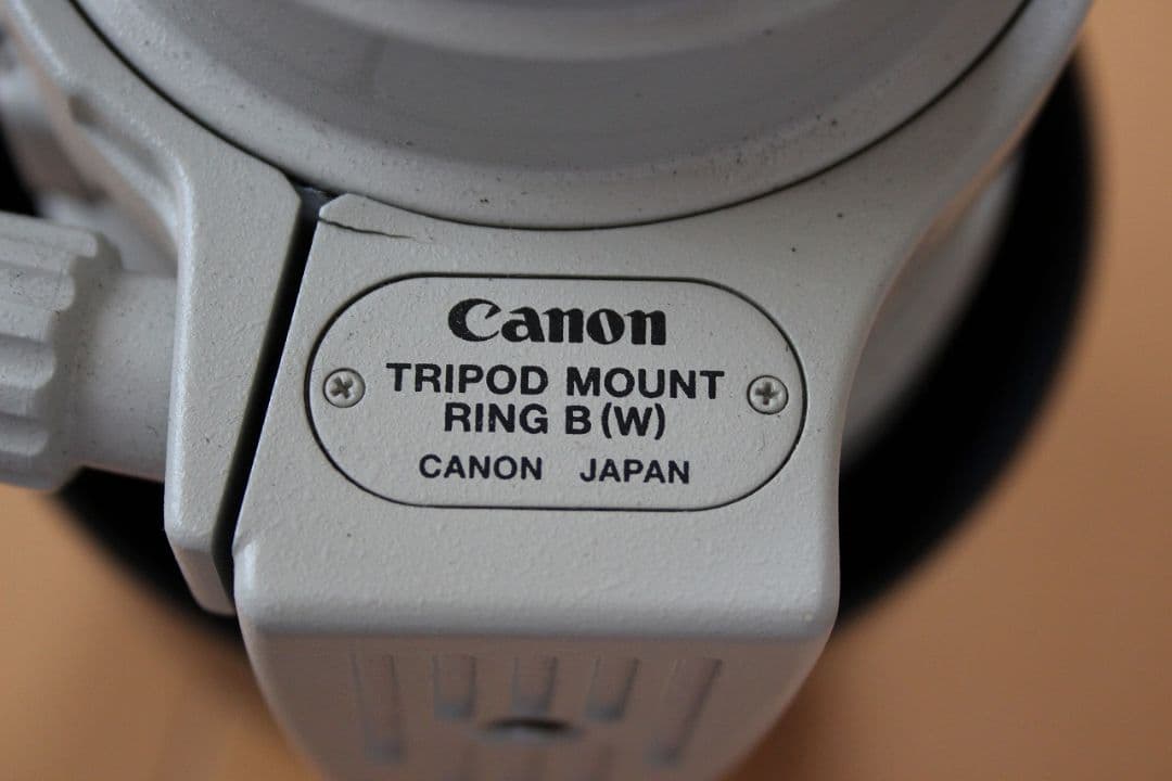 Canon EF100-400mm F4.5-5.6L IS　USM