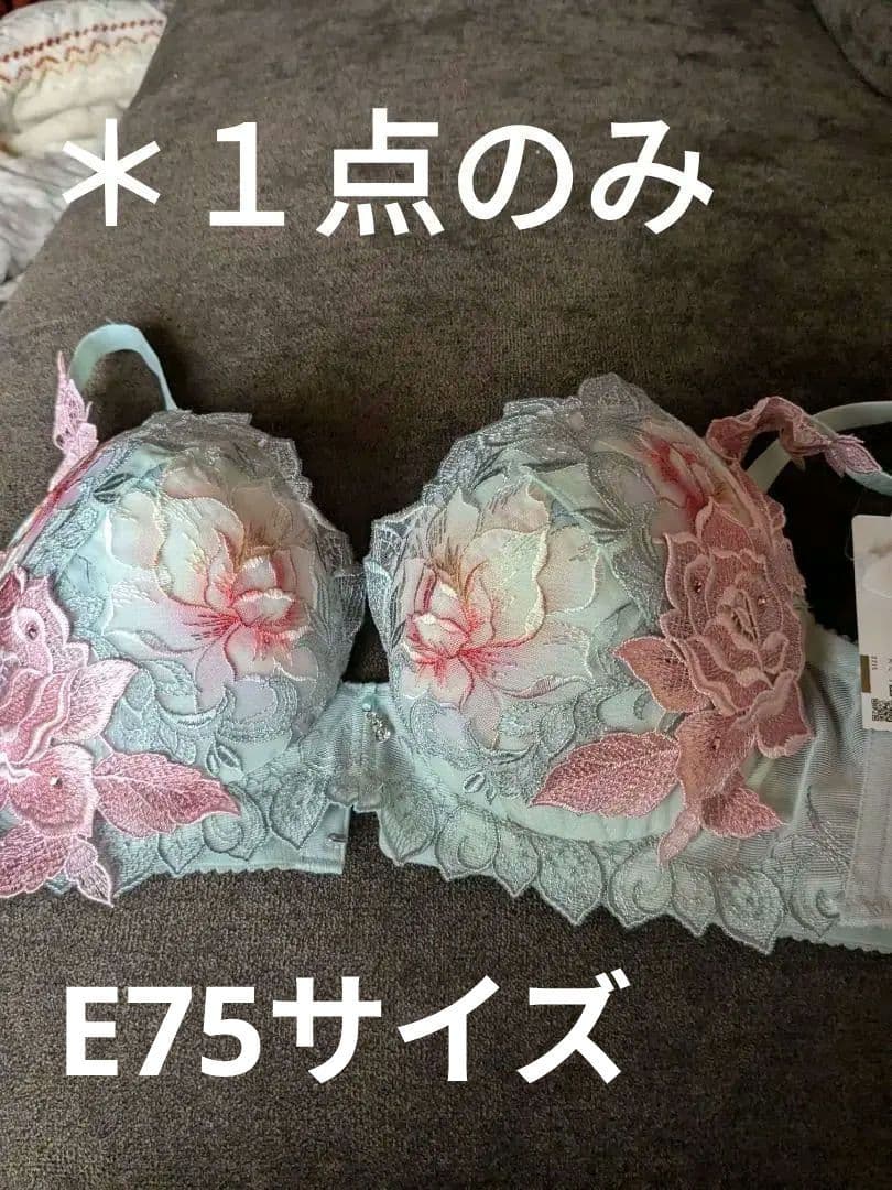 。Magia様。ワコール、サルート、97グループ完売品ブラE75。