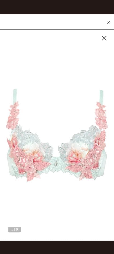 。Magia様。ワコール、サルート、97グループ完売品ブラE75。