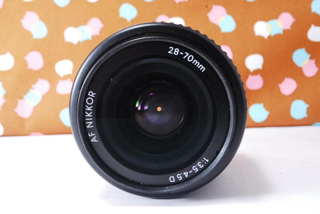 ✨お安くデビュー✨ショット数1071回✨Nikon D70 レンズセット