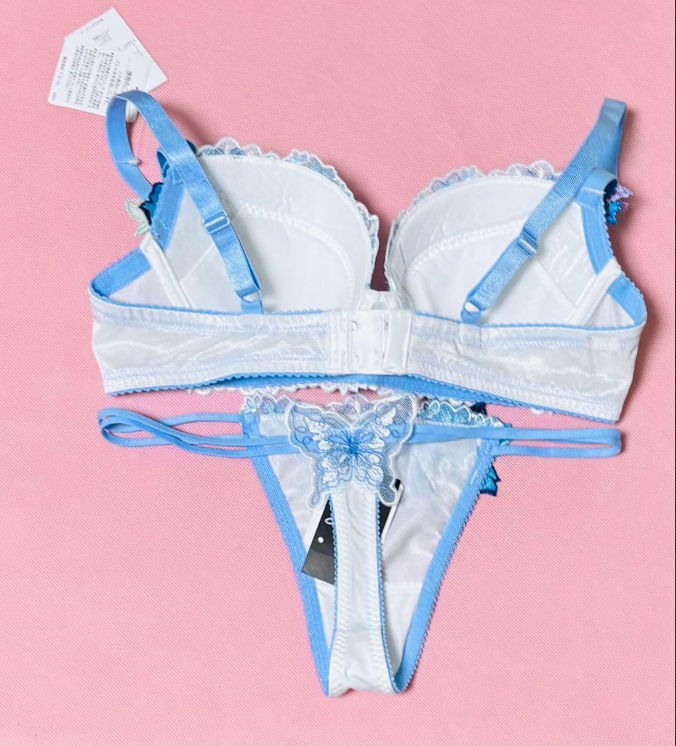 サルート42Ｇ　D75 ソングM