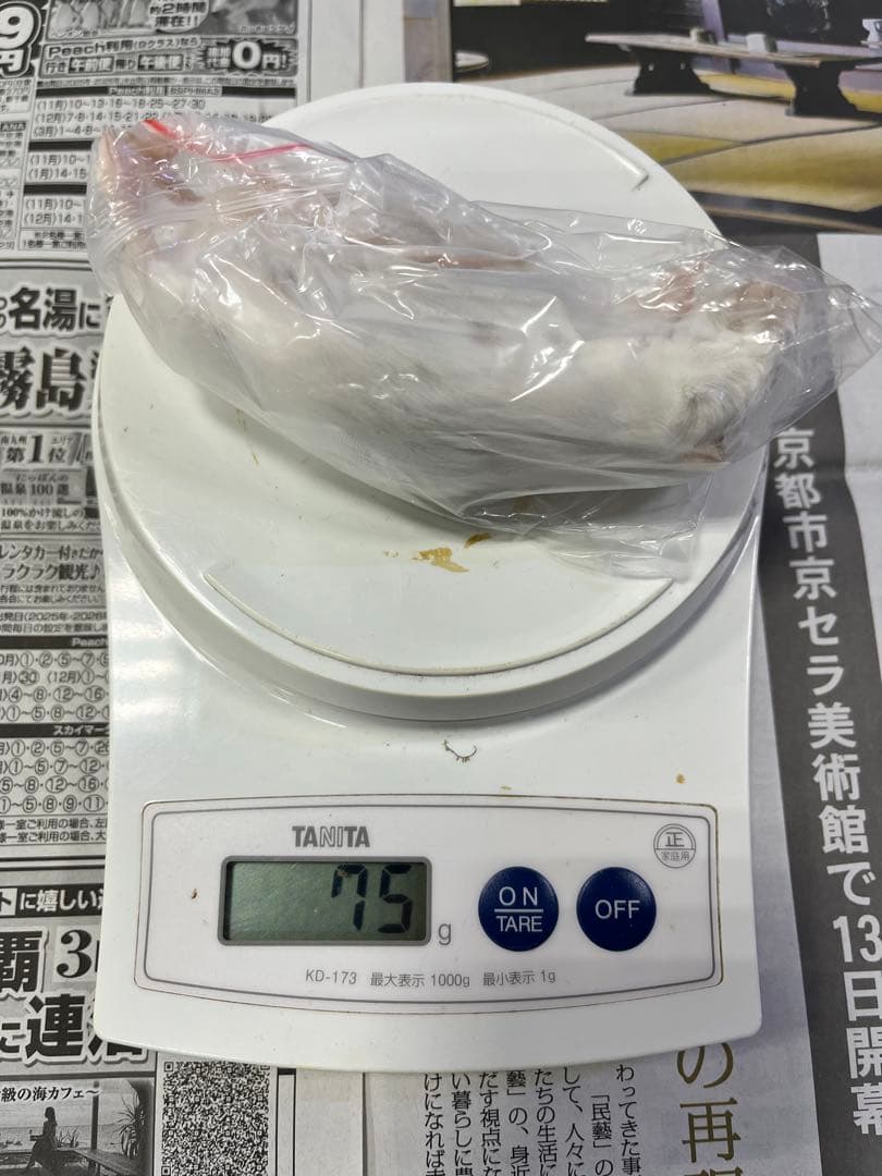 冷凍マウス　リタイア50