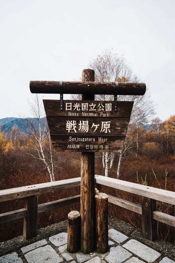 状態極上 Nikon PC-Nikkor 35mm 2.8 レンズ