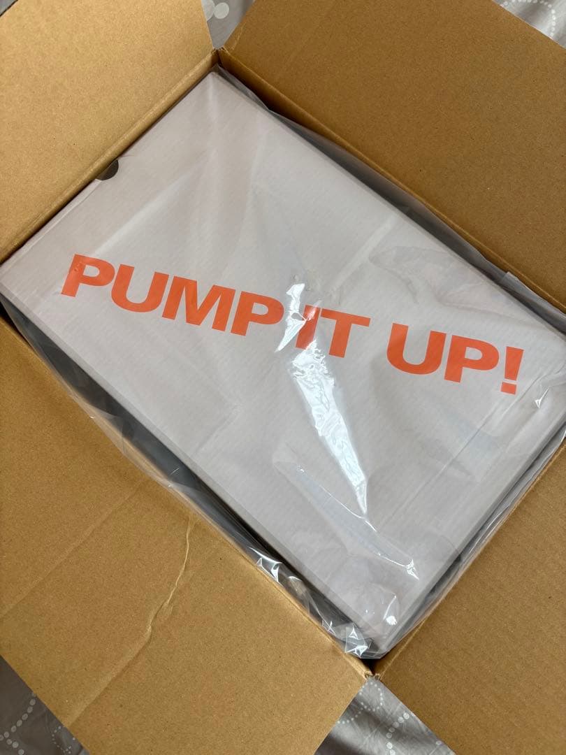 Reebok インスタポンプフューリー 稲葉浩志さん