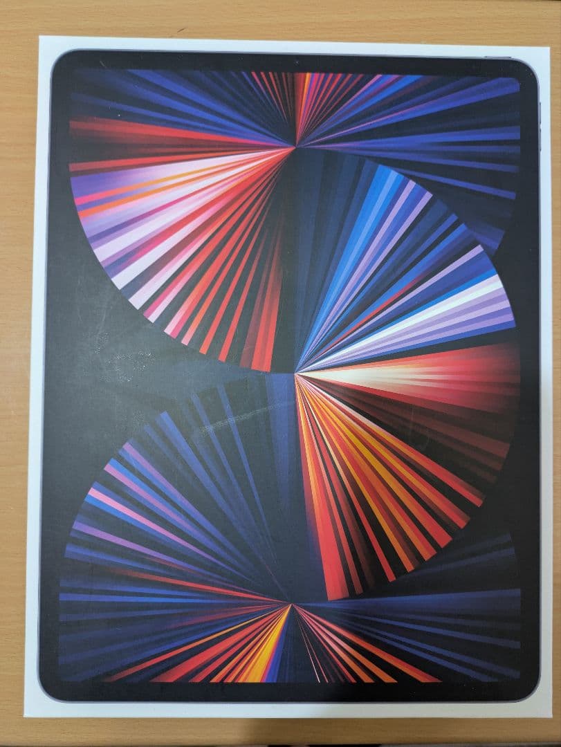 Apple iPad Pro12.9 M1 256GB wifi　美品