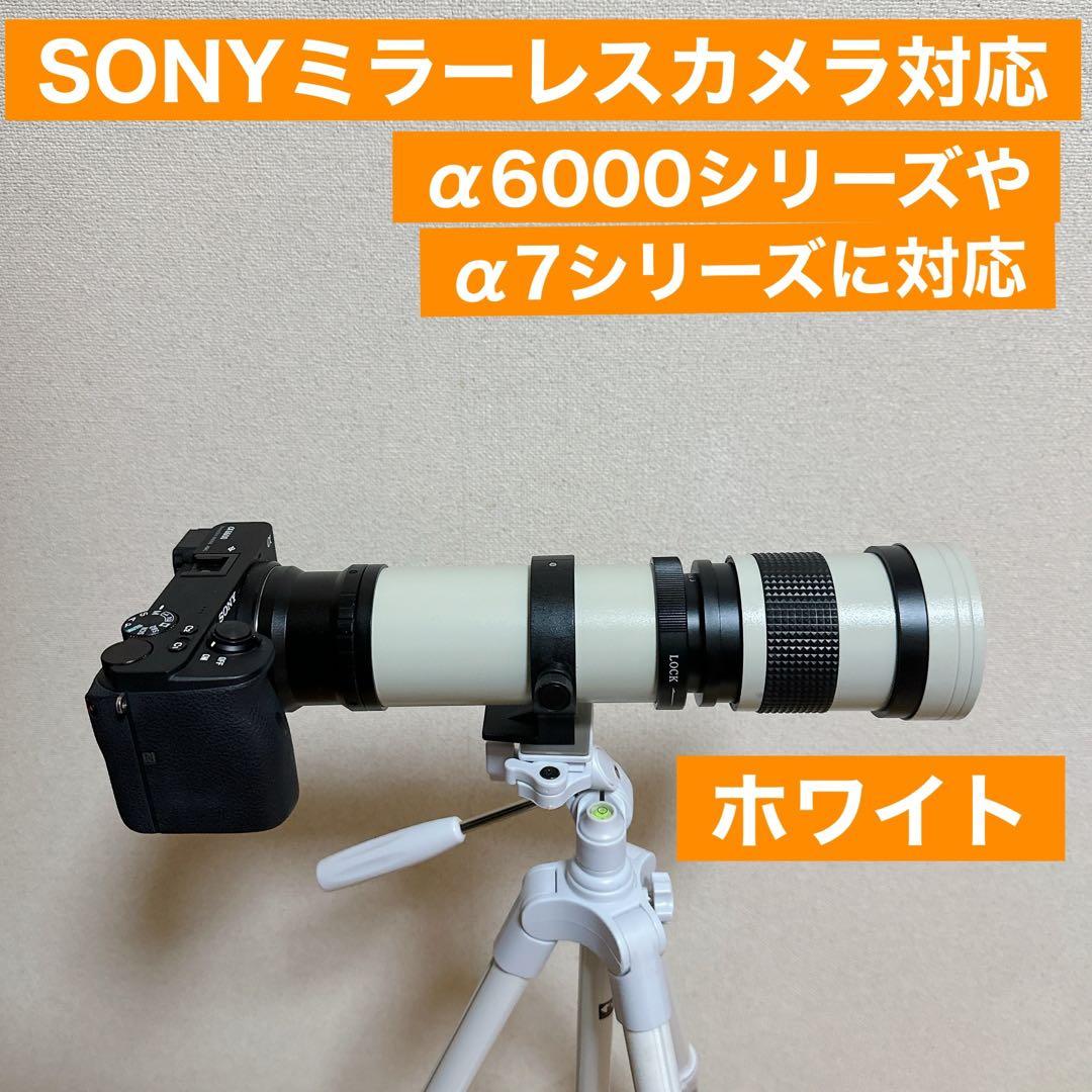 驚異のズームレンズ！SONYミラーレスカメラ用！便利な袋付き！アダプター付き！