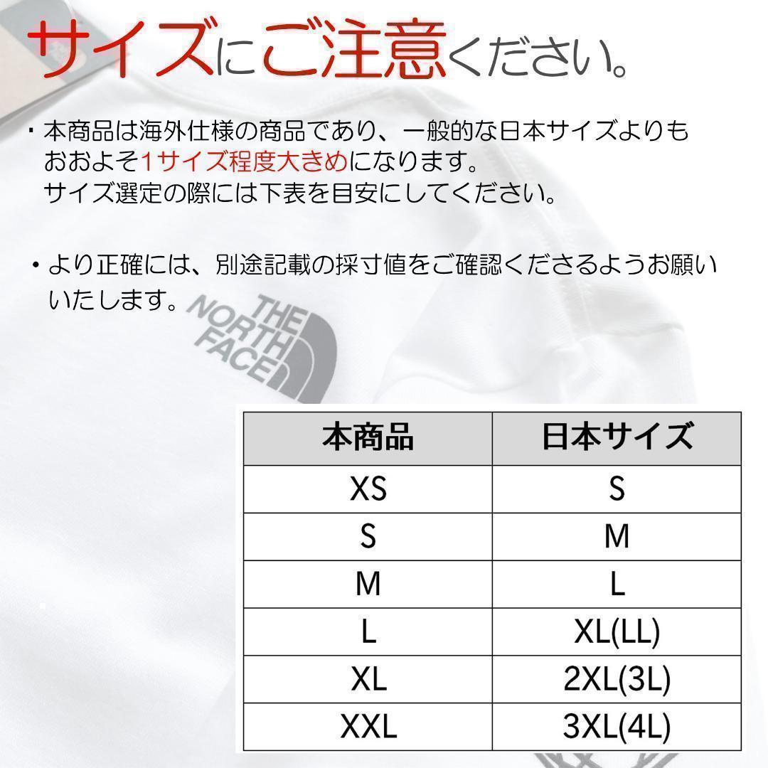 ノースフェイス パーカー メンズ 海外L 日本LL相当 ブルー 新品 apHD