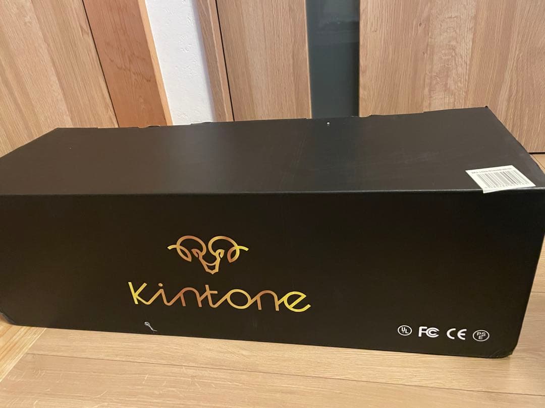 Kintone キントーン　クラシックDO1D セグウェイ　ブラック　新品