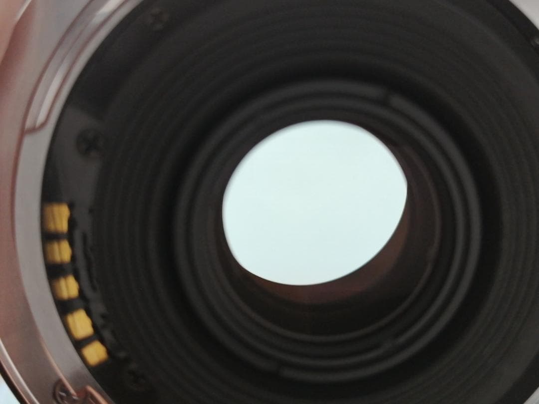 レンズ(単焦点) Minolta AF 24mm F2.8 #7744